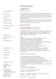 auditor cv sample, bookkeeping and
