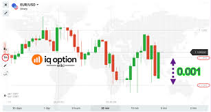 Why You Should Never Enter 1 Minute Trades On Iq Option Iq
