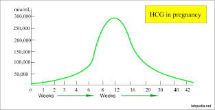Beta Hcg Level Hcg Human Chorionic Gonadotropin Hcg