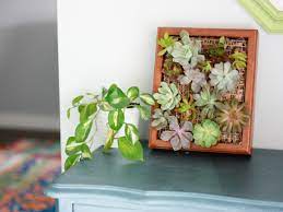 Diy Succulent Wall Planter