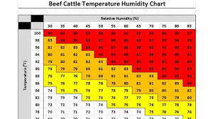 Handling Cattle Through High Heat Humidity Indexes