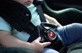 Pas Misunderstand Child Car Seat Rules