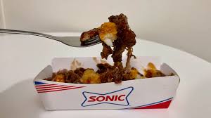 sonic pulled pork bbq totchos review