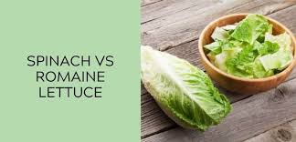spinach vs romaine lettuce what s