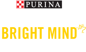 Pro Plan Bright Mind Adult 7 Dog Food Purina