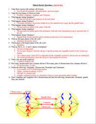 (note that real fruit flies have eight chromosomes and many more genes.) Cell Division Mitosis Test Review Questions And Answer Keys Tpt