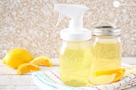 10 homemade cleaners made from citrus ls