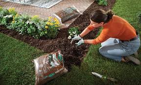 Backyard Ideas On A Budget The Home Depot