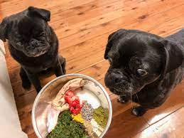 how to feed vegetables to your pug