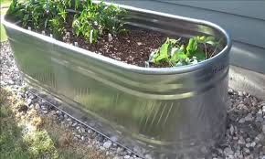 Galvanized Tub Uses In The Garden