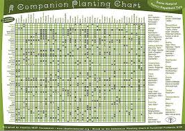 Permaculture Companion Planting Guide Chart Free Pdf