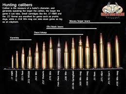 An Excellent Game Hunting Cartridge Ammo Caliber Chart