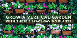 Vertical Garden Indoor Gardening