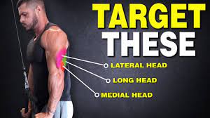 the only 3 triceps exercises you need