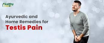 ayurvedic home remes for testicular pain