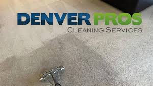 the 1 carpet cleaning in aurora co