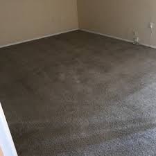 best carpet cleaners in plant city
