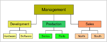 Organizational Charts Types In Management Iibm Lms