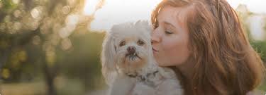 Can you get a care credit card with bad credit. Clovis Pet Hospital Veterinarian In Clovis Ca Us Care Credit Financing Clovis Pet Hospital Veterinarian In Clovis Ca Us