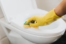 How To Remove Stains From Toilet Seats