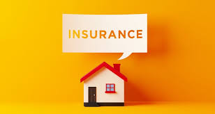 A homeowners insurance policy is designed to protect homeowners against certain perils. Homeowners Insurance 101 What You Need To Know Capital Partners Mortgage