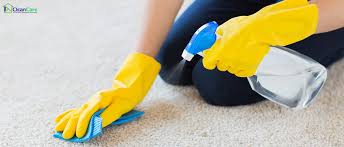 how to keep your carpet clean when you