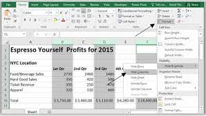 hiding columns and rows in excel the