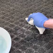 how to clean vomit out of carpet