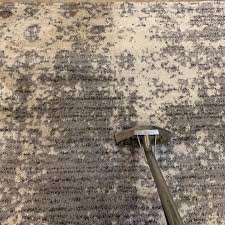 carpet cleaner for mold terry s