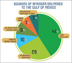 Sources Of Nitrogen Delivered To The Gulf Of Mexico