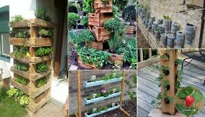 diy ideas to build a vertical garden