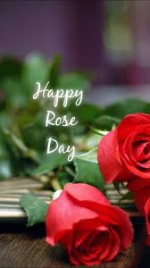 happy rose day nojoto