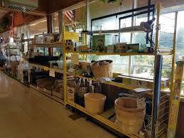 gale s garden center willoughby hills