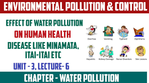 effect of water pollution on human