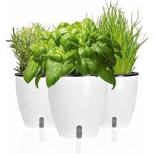 Set Of 3 Pots For Fresh Aromatic Herbs