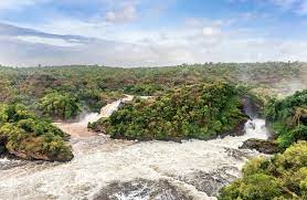 View of Murchison Falls on the Victoria Nile river National Park Stock Photo by ©dvrcan 119708972