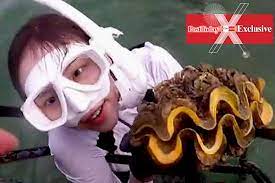 แม้แต่คนเกาหลีก็ไม่เห็นด้วย กรณีรายการดังจับหอยมือเสือมากิน - โพสต์ทูเดย์  รอบโลก