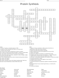 Because half of it is original and half of it is new. Cell Division Dna Structure And Replication Crossword Puzzle Wordmint