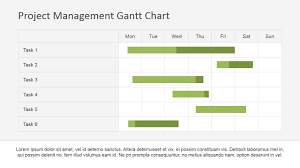 project management gantt chart