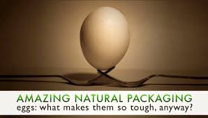 amazing natural packaging eggs what