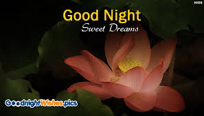 good night sweet dreams hd wallpaper