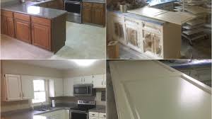 So, you don't know whether painting or refacing is right for your cabinets. What Color Should I Paint My Kitchen Cabinets The Picky Painters Berea Oh
