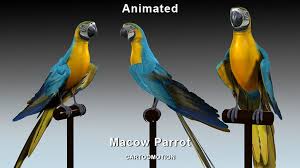 3d model blue macaw parrot vr ar