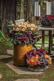 10 Fall Flower Containers With A Unique