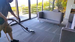carpet cleaning experts in everett wa