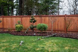 before fencing in a yard