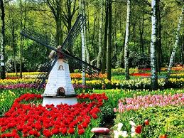 Most Beautiful Flower Garden Holland
