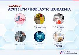 Cause Of Acute Lymphoblastic Leukemia gambar png