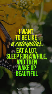 Aplikasi pembuat quotes bisa jadi solusi buat kamu mau dapat banyak like di instagram. I Want To Be Like A Caterpillar Eat A Lot Sleep For A While And Then Wake Up Beautiful Quotesbook