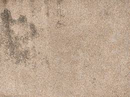 a beige carpet with black spots